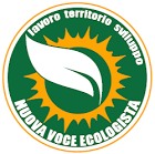 NVE log - Copia (2) - Copia.png